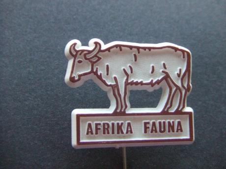 Afrika- Fauna ( Buffel)